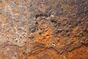 Rost