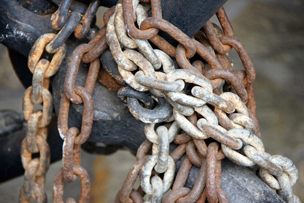 Rost