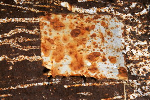 Rost